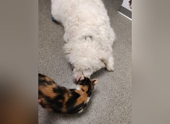 Molda & Tasa