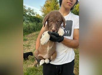 Hübsche Jolie freut sich auf Deinen Besuch