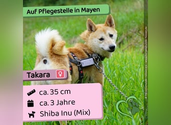 Takara