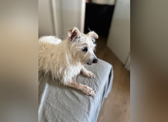 Pitufa, eine zauberhafte Seniorin