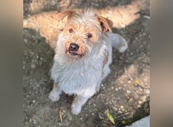 HIME – LIEB, AKTIV & NEUGIERIG