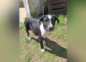 Ylani sucht Traumzuhause!