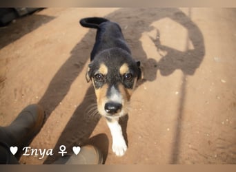 Jackie/Enya sucht ihre Familie ab Oktober