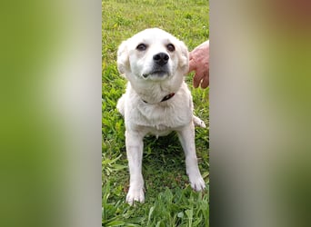 Lilly freut sich auf Deinen Besuch