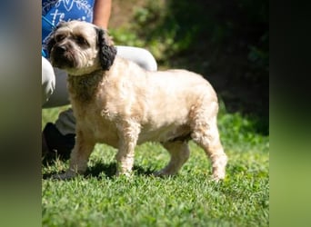Baxter