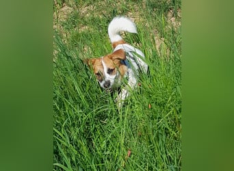 Lustige MONA sucht eine liebevolle Familie