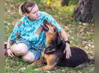 Elsa sucht ihre Familie