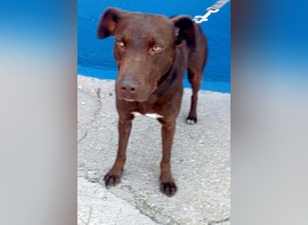 Roma, lieb und ein wenig schüchtern