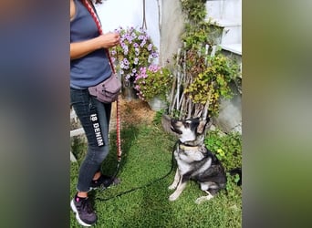 Aktive Tina sucht ihre eigene Familie