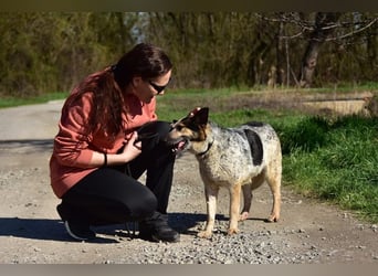 Dajana hat ein eher ruhiges Wesen