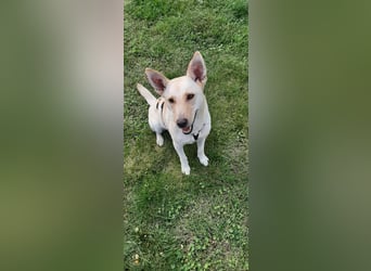 Mila, erwachsene Frau der vielen Facetten