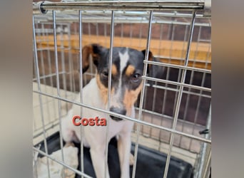 COSTA