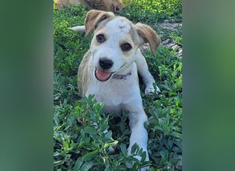 Kleine Nadja ( * 03 / 2025 ) sucht ihre Familie