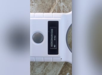 Holmes PP – Junghund mit großem Potenzial sucht liebevolles Zuhause
