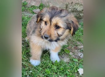 Kleines Sternchen Chanel