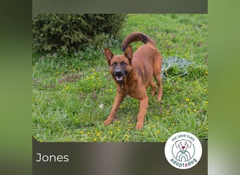 Jones: Starke Seele, sanftes Herz