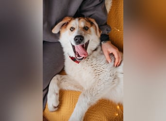 Hallo! Ich bin Brut – und ich bin bereit, dein Herz zu erobern.