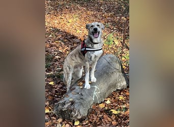 Balou wünscht sich aktive souveräne Menschen