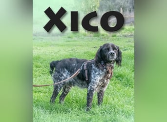 Xico – ein dufter Kumpel