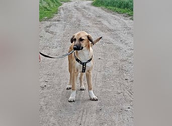Abby,  möchte mit Dir Neues entdecken