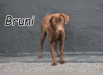 Helfen Sie Bruni dabei, endlich ihr Glück zu finden?