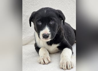 Nina, eine von 7 wundervollen Zwergen