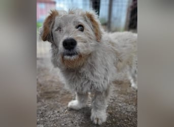 Lucky ❤️ fröhlich+aufgeweckt sucht dich!