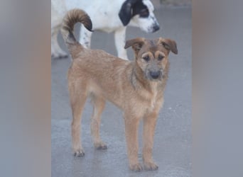 Peaches ❤️ wartet in 51143 Köln