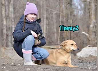 Timmy2 geb. 03/2023 - verspielter, aktiver und fröhlicher junger Rüde!