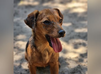 Ruhie Seele sucht die Nadel im Heuhaufen