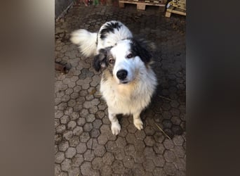 Hero: Braucht einen Superhelden