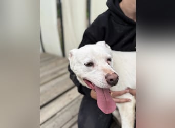 Angel sucht Herzensmenschen