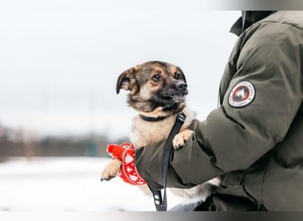Zärtliche Luna sucht ihre Familie