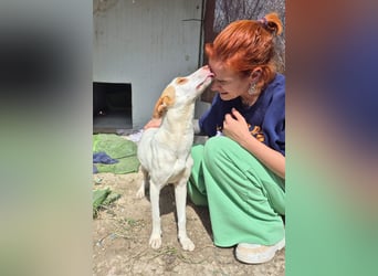 Barbi, wartet auf ihre Familie