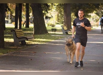 Grizzly sucht noch sein Zuhause