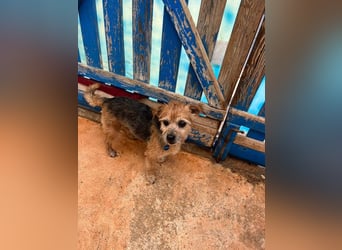 Micky ist ein Traumjunge und liebt das Leben