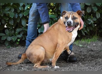 Ruben - Gastfreundschaft und Charme
