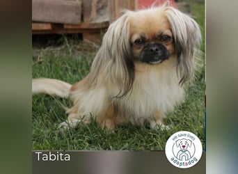 Tabita: Fröhliche kleine Kämpferin