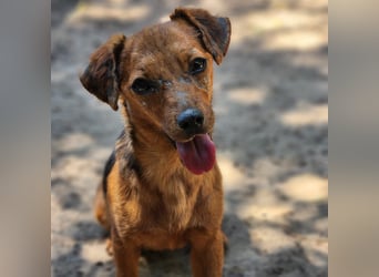 Ruhie Seele sucht die Nadel im Heuhaufen