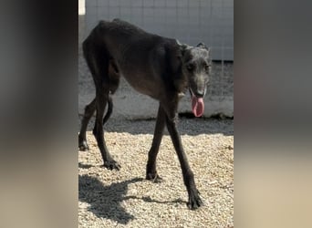 Neo, lieb und schüchtern