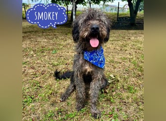 Smokey braucht Liebe