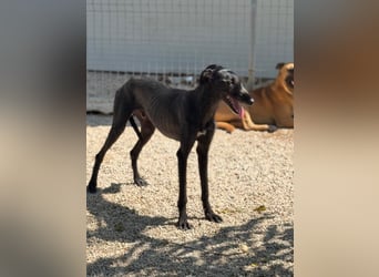 Neo, lieb und schüchtern