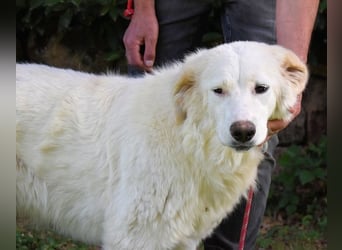 Kandie - kleines Mädchen mit großen Plänen