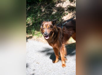Schöner Emil ( * 03 / 2021 ) sucht seine Familie