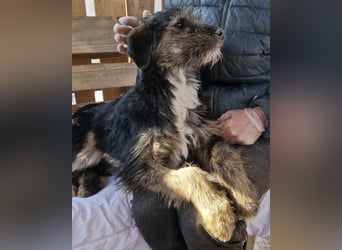 Marcy sucht dringend ihre Menschen