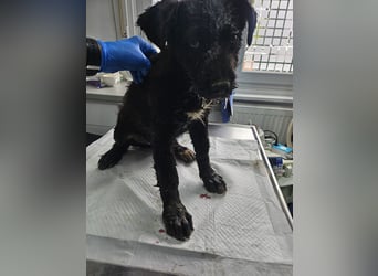 Eléa – Kleine Entdeckerin mit großem Herz sucht Zuhause