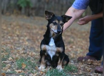 Ruby: Besitzerin unerwartet gestorben