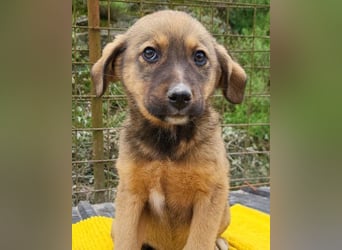 Fellschnute ♥Fina♥ sucht ihr großes Glück