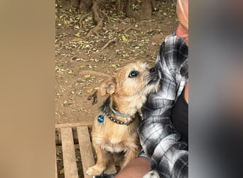 Micky ist ein Traumjunge und liebt das Leben