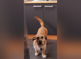 Dori verliert leider ihr Zuhause